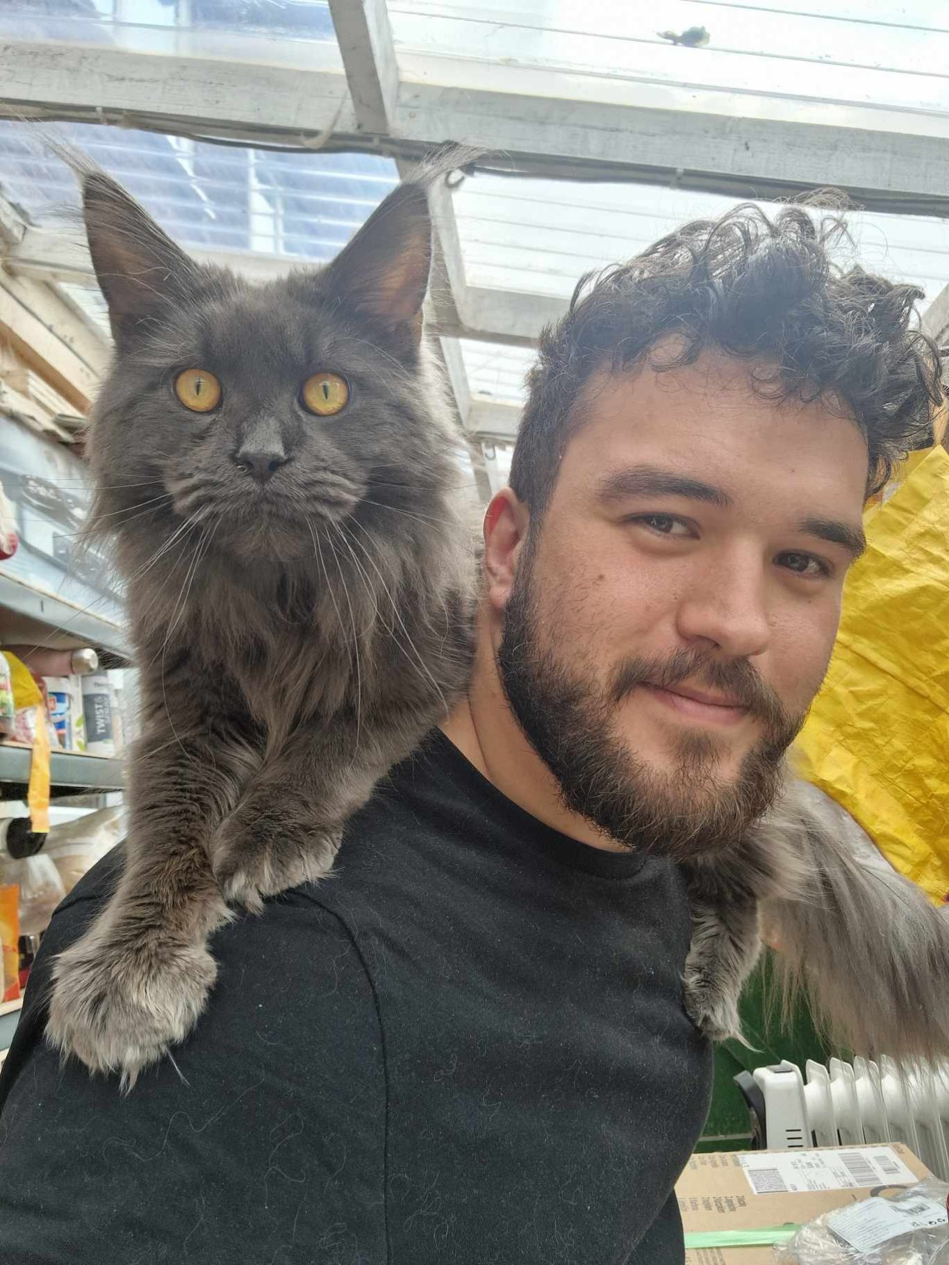 Hades at 9 months