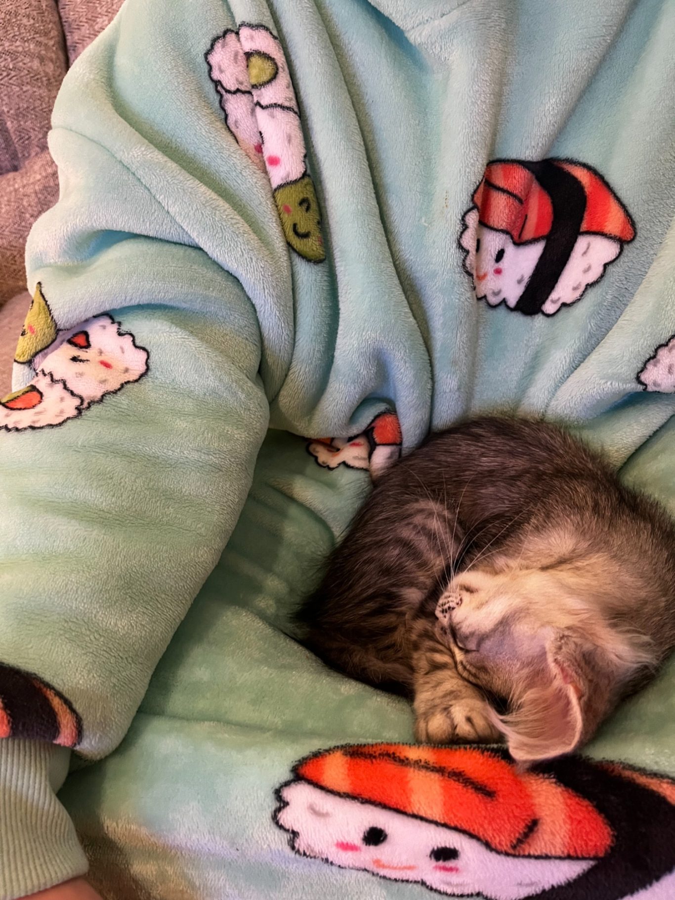 Artemis 4 months